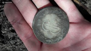 10 сибирских  копеек 1776 г
