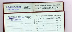 Трудовая слава 2 и 3 ст  22617 151994 на доках