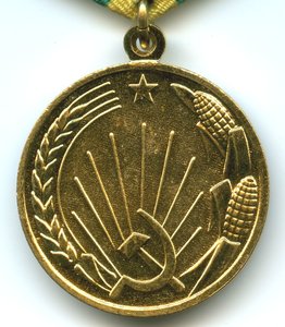 Целина +док