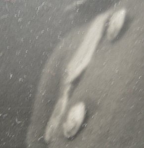 Адмирал Трибуц 1943 Авторское фото Уникальное 18.3Х38.4 см