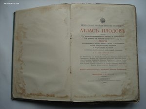 Атлас плодов под редакцией А.С. Гребницкого. 1903-1906