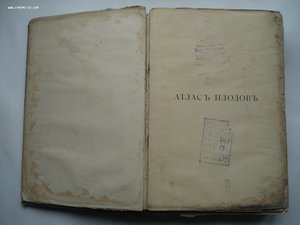 Атлас плодов под редакцией А.С. Гребницкого. 1903-1906