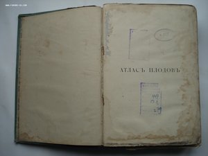 Атлас плодов под редакцией А.С. Гребницкого. 1903-1906