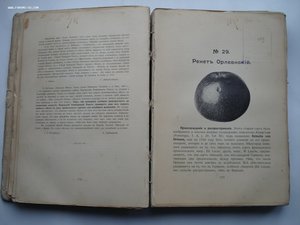 Атлас плодов под редакцией А.С. Гребницкого. 1903-1906