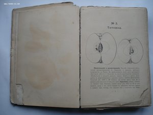 Атлас плодов под редакцией А.С. Гребницкого. 1903-1906