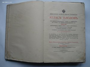 Атлас плодов под редакцией А.С. Гребницкого. 1903-1906