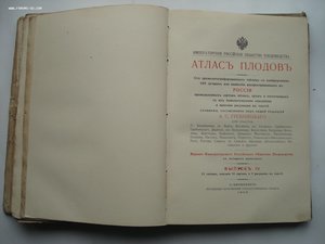 Атлас плодов под редакцией А.С. Гребницкого. 1903-1906