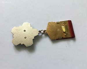 ЦК ВЛКСМ. БАМ. Снежинка. Редкий.