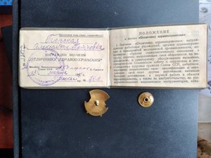 Отличник здравоохранения с документом