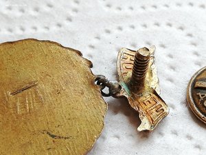 Чемпион 5 спартакиады профсоюзов 1955 год