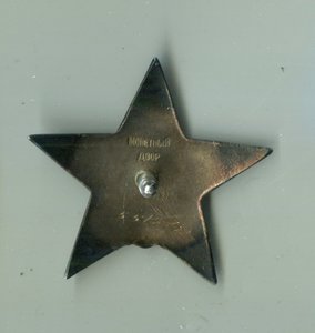 КЗ 551267. серебренная гайка