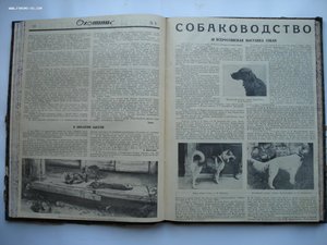 Годовая подшивка журналов ОХОТНИК за 1929 год