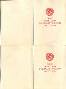 Дунайский Бант_Чистые доки