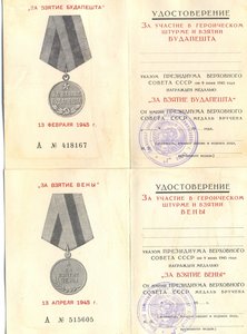 Дунайский Бант_Чистые доки