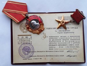 Комплект ГСТ Беликова С.Т. орд.Ленина,медаль Героя,документы