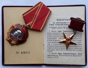 Комплект ГСТ Беликова С.Т. орд.Ленина,медаль Героя,документы
