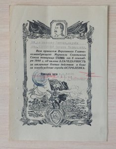 Благодарности на одного 15шт.