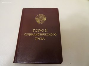 Звезда ГСТ в родной коробочке с граммотой. Сохран.