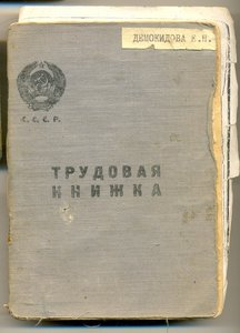 Большая Рыба + док+трудовая+должн. удост-ние + диплом(Люкс)