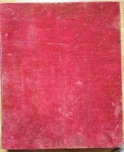 Владимимрская БМ. 1888 г.