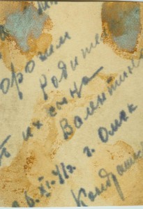 Несколько фото летчика.