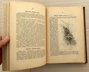 Н.Ф. Золотницкий. Аквариум любителя. 1904 год. СОХРАН