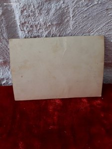 Три офицера лётчика на трофейных великах?