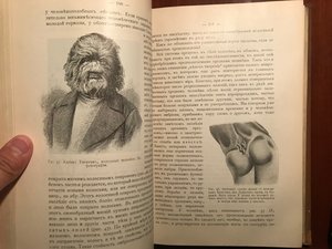 Карус Штерне.Эволюция Мира.История мироздания в 3 книгах