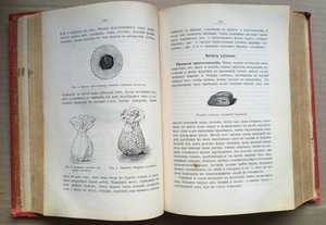 Книга Кулинарного Искусства П.Александрова-Игнатьева 1903г.