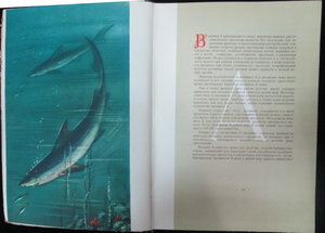 Каталог "Витамины". 1957 год.