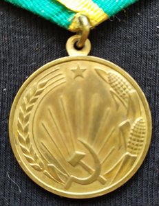 Целина (3)