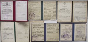 куча дипломов,удостоверений свидетельств и других документов