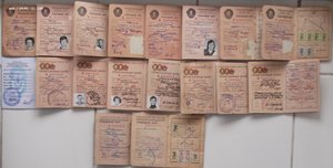 куча дипломов,удостоверений свидетельств и других документов