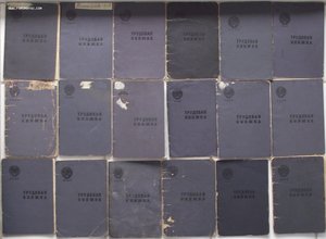 куча дипломов,удостоверений свидетельств и других документов