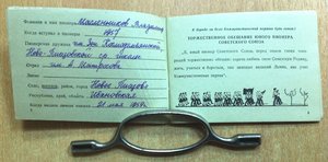 Личная книжка Пионера в люксе