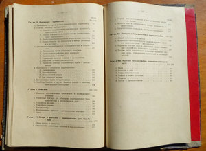 Книга Петр А. Орловский "Автомобиль" 1925 год