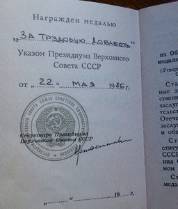 За Трудовую доблесть с Доком