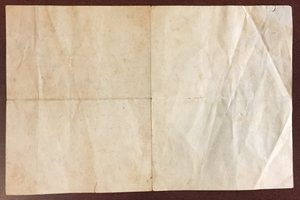 Выписка из приказа на штрафника-партизана - 100 ОАШР