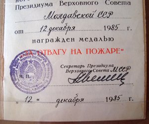 За отвагу на пожаре с док.