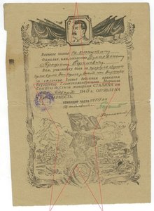 5 благодарностей на Дунаевского за Белоруссию