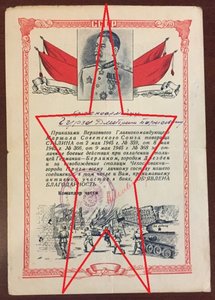 Сводная цветная благодарность