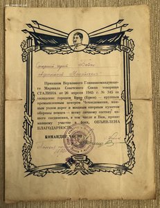 10 благодарностей на Бойко