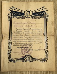 10 благодарностей на Бойко