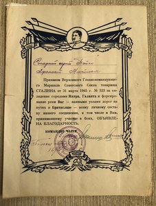 10 благодарностей на Бойко