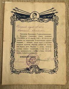 10 благодарностей на Бойко