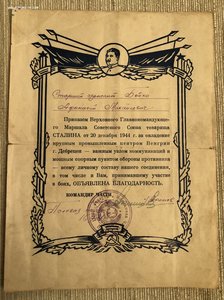 10 благодарностей на Бойко