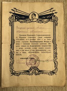 10 благодарностей на Бойко