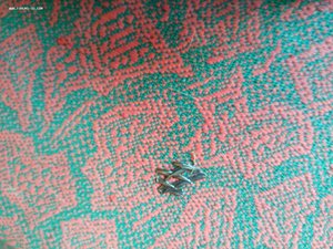 5 красивых абажуров