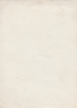 Военнослужащие РККА. Шифровка "МЗУ" и спецзнаки. 1930-е гг.
