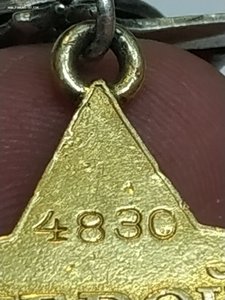 ГСС № 4830 посмертное награждение на выжившего!